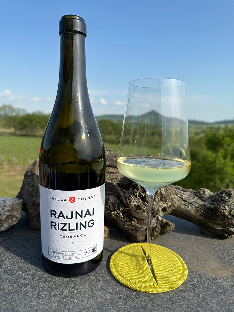 Riesling 2022 | Villa Tolnay Riesling 2022 | Villa Tolnay