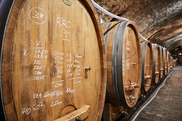 Cellar tour at Villa Tolnay