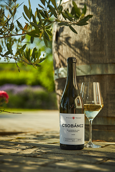 Our wines of Villa Tolnay | Csobáncz