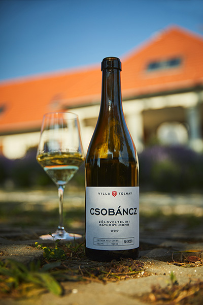 Wines of Villa Tolnay | Csobancz