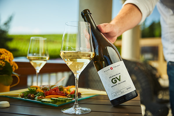 Wines of Villa Tolnay | Grüner Veltliner Wines of Villa Tolnay | Grüner Veltliner