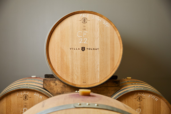 Wine barrels of Villa Tolnay