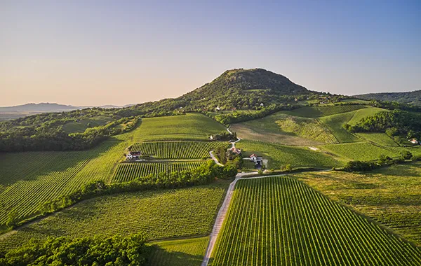 Villa Tolnay | Landscape winery