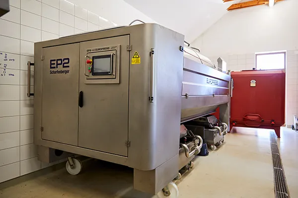 Villa Tolnay | Winemaking process at Villa Tolnay