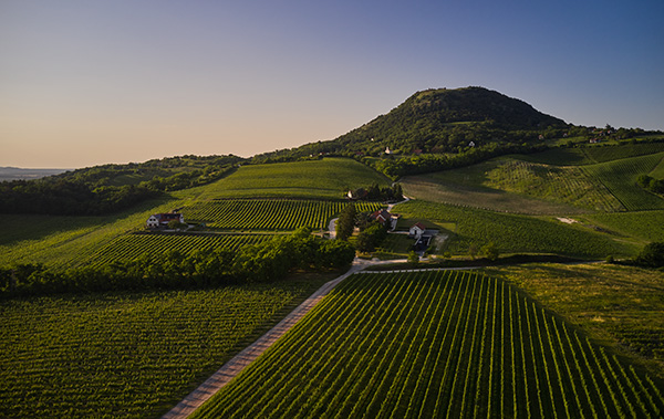Landschaft Villa Tolnay