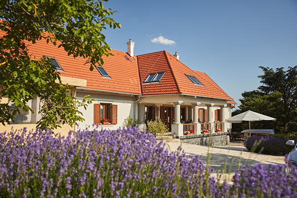 Guesthouse Villa Tolnay Guesthouse Villa Tolnay