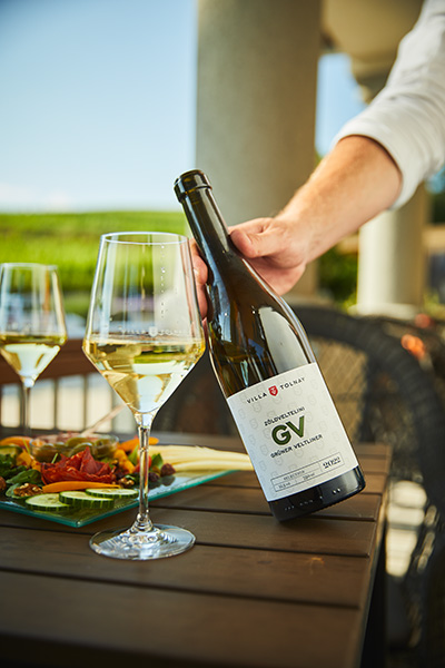 Wines at Villa Tolnay's Guesthouse