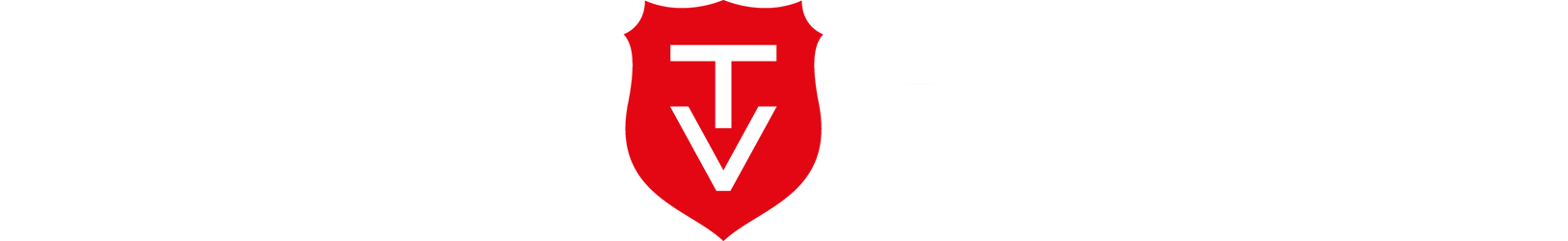 Hier befindet sich die Desktop-Version des Logos von VILLA TOLNAY.