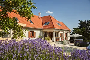 This image displays the Guesthouse of Villa Tolnay.