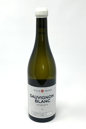 Sauvignon Blanc * 2024 | Villa Tolnay
